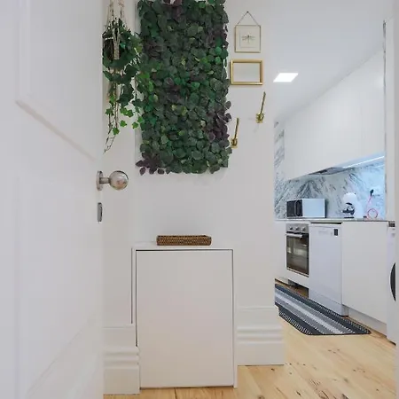 Cedofeita Charming Flat Porto