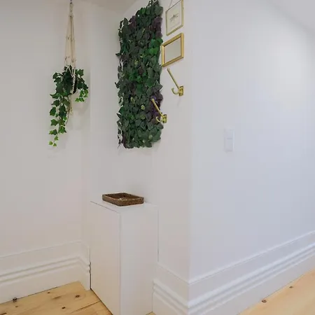 Apartment Cedofeita Charming Flat Porto
