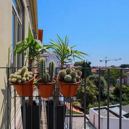 Cedofeita Charming Flat Apartment Porto